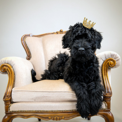 Lahjakortti valokuvaukseen