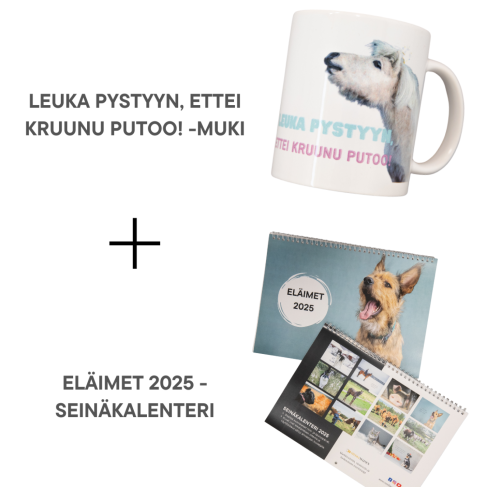 2025 Seinäkalenteri + Leuka pystyyn ettei kruunu putoo! -muki